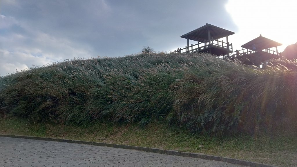 20191208 桃源谷步道(灣坑頭山)_817755