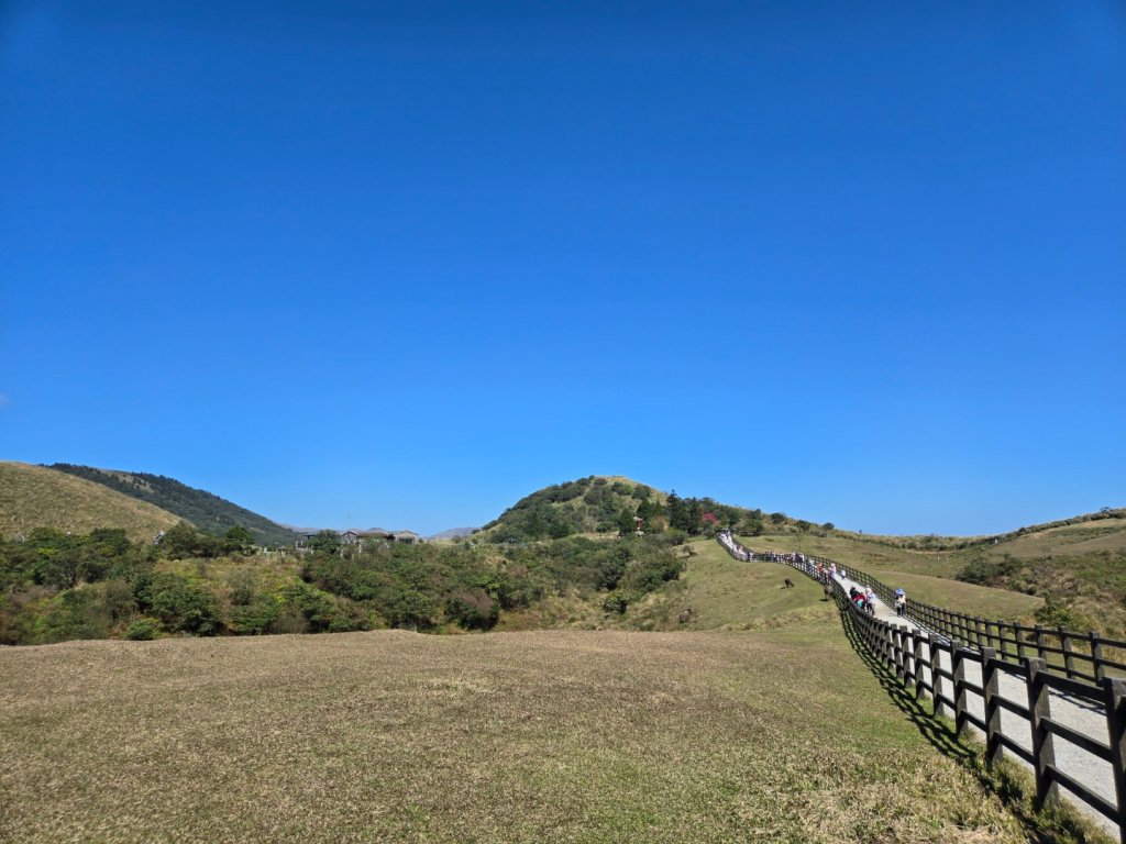 擎天崗環形步道_2722264