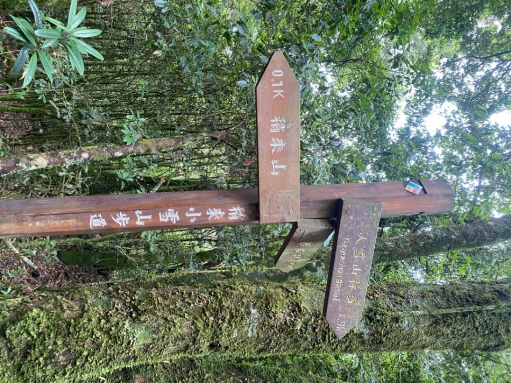 稍來山#39號 雲霧小百岳_1787063
