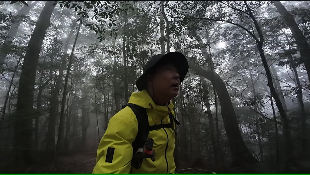 台中 鳶嘴稍來山O繞+稍來神木_2989459