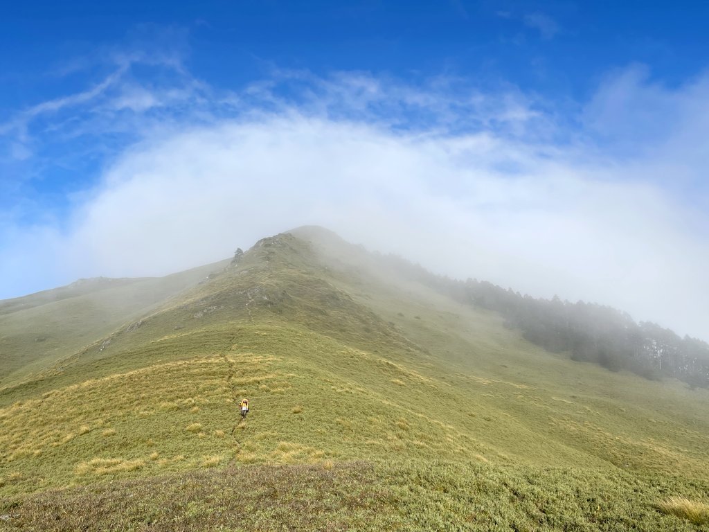 奇萊東稜 20241019-1025_2641781