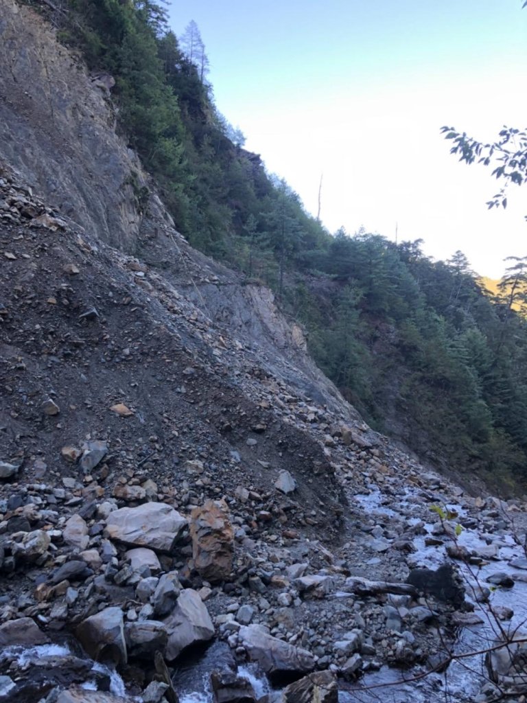 雪山西稜+大安溪神木_553242