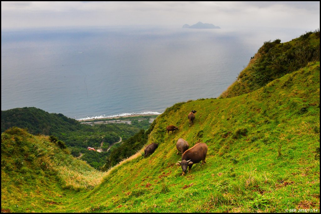 細雨中的桃源谷。2018.11.14_463471
