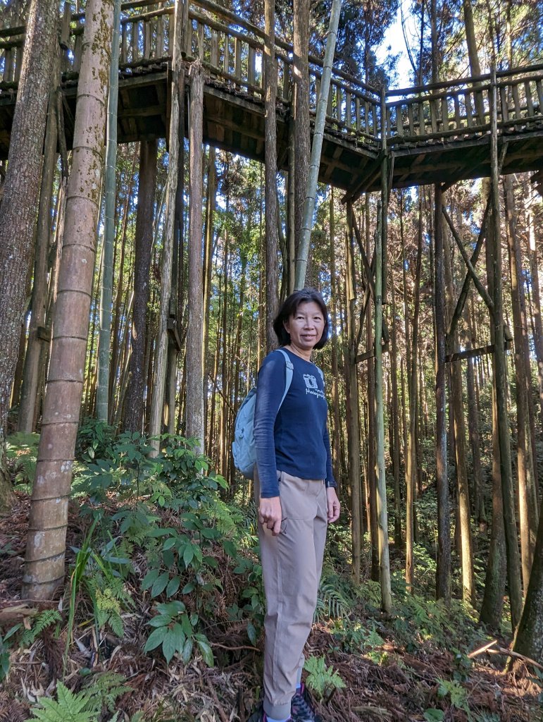 【雲林古坑】木馬古道 石壁風景區_1960765