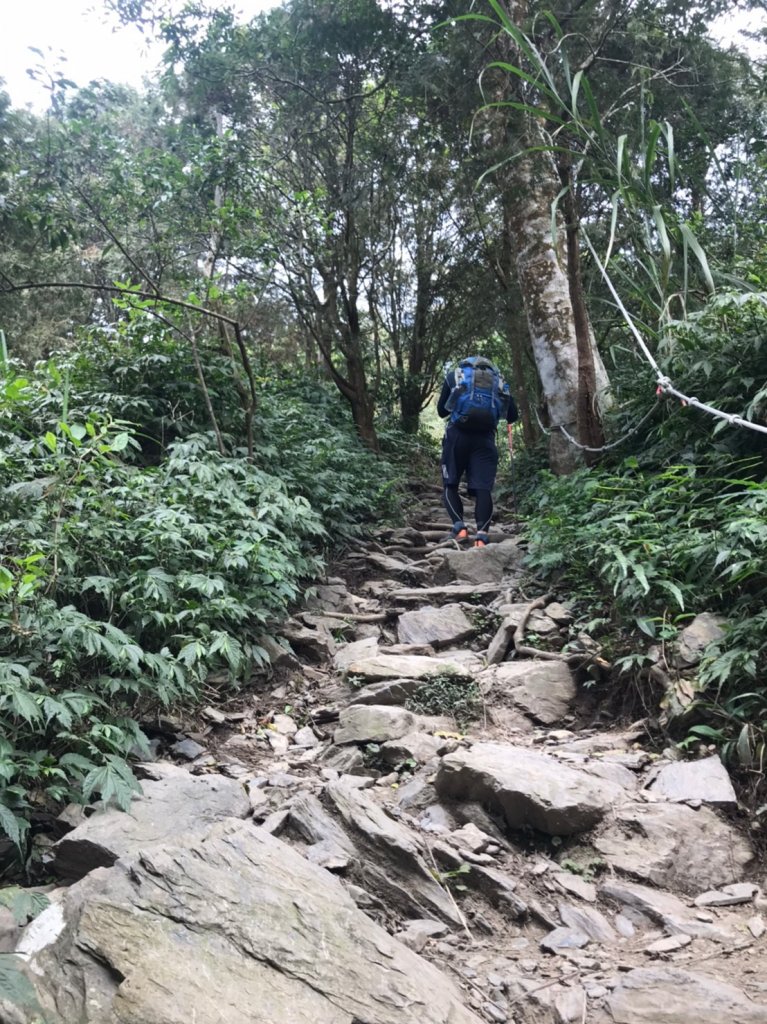 面見北大武聖山_967875