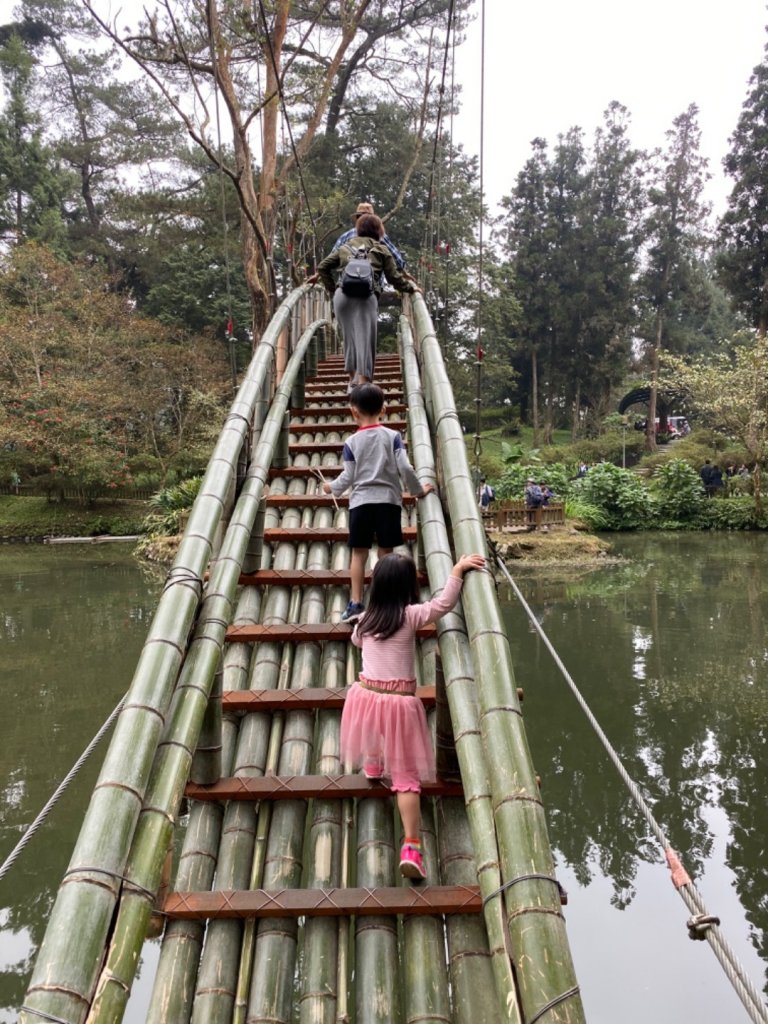 20191109貓仔們之溪頭森林步道探索_757173