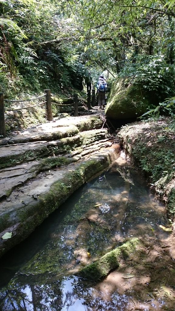 三貂嶺瀑布步道_44684