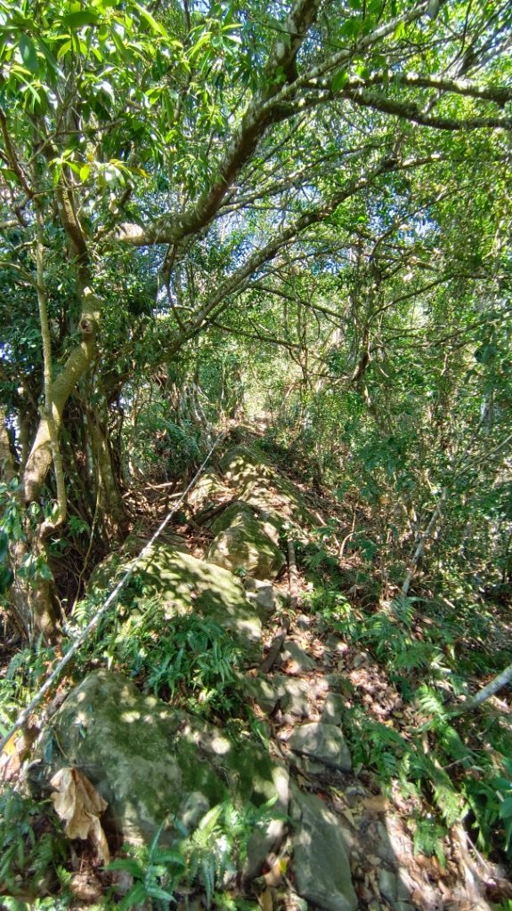 暗影山（酒桶山）台中小百岳_2042001