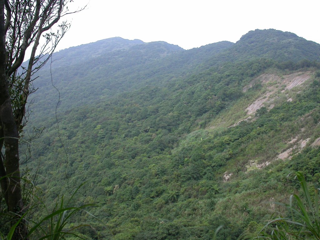 石硿大崙/姜子頭山封面圖