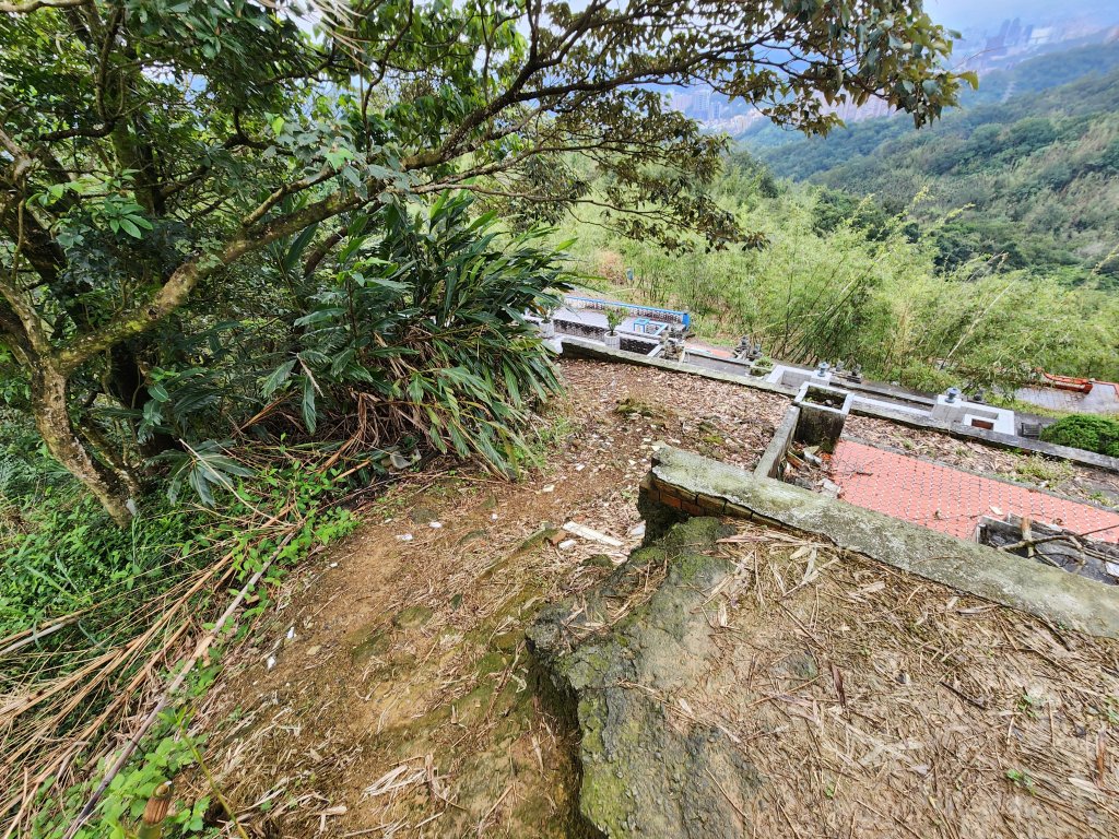 20250209電車登山 南港 ~ 辛亥_2744777