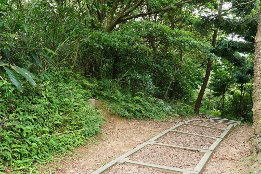 新北 金山 金包里山、磺港山_2780922