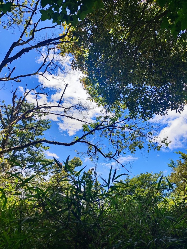 民都有山_2845002