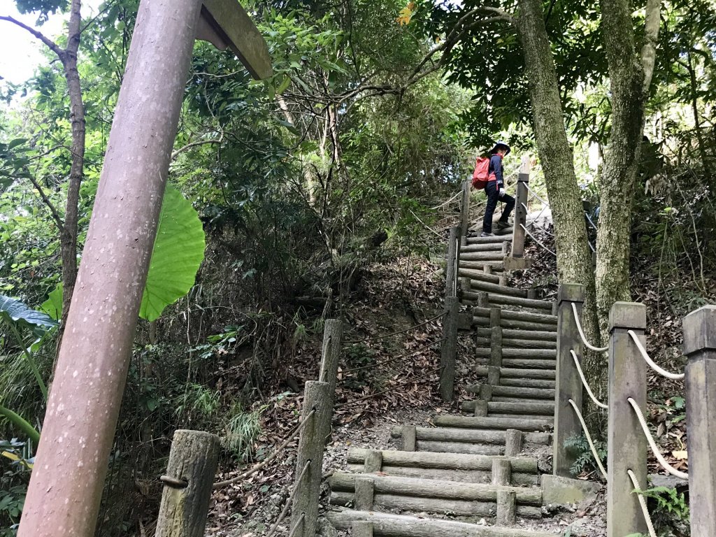 新田登山步道上聚興山_437298