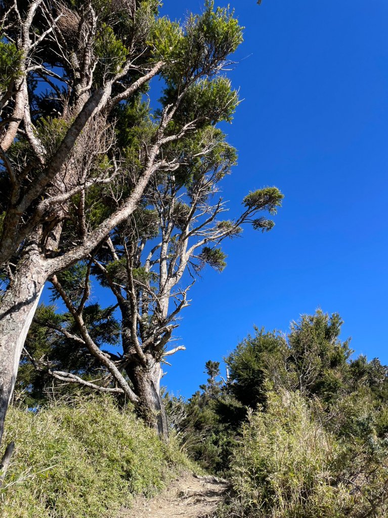關山嶺山_2368542