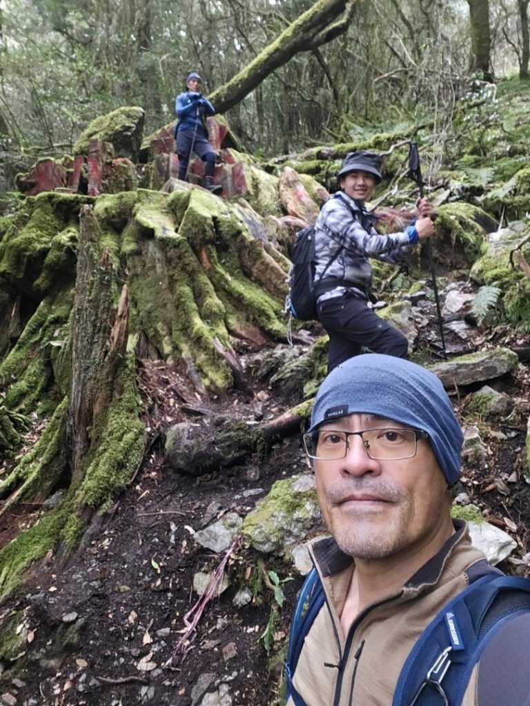 20240314 郡大林道🌲19.5km神木 （🐍水里蛇窯）_2453187