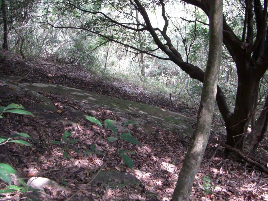 關西_外鳥嘴山20090908_1958046