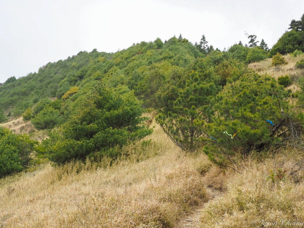 [百岳]志佳陽大山一日單攻_915067