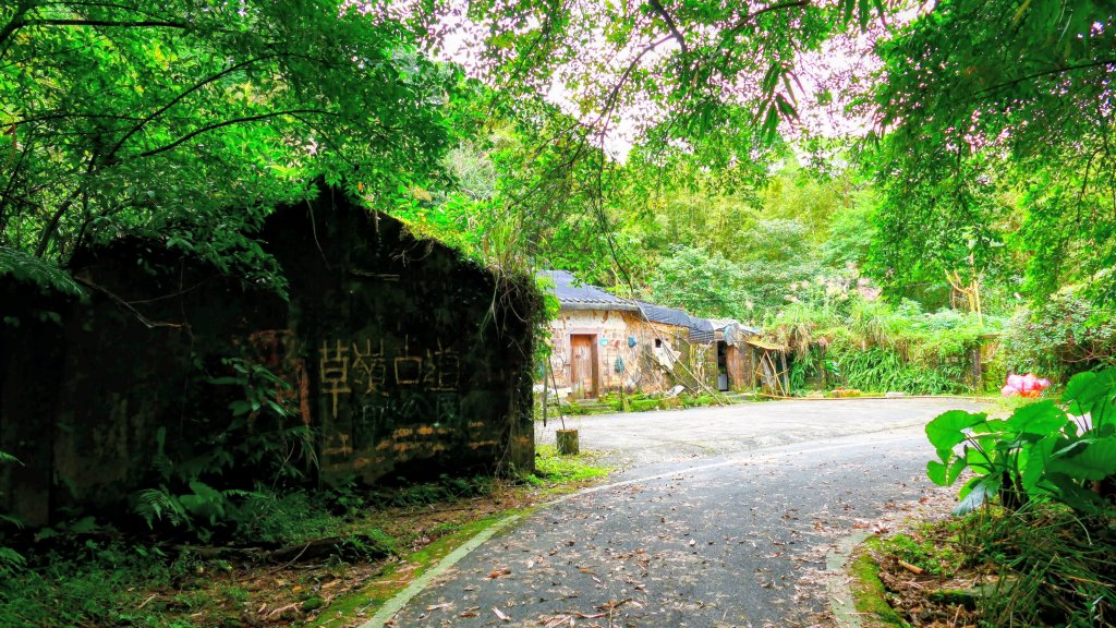 草嶺古道_2962477