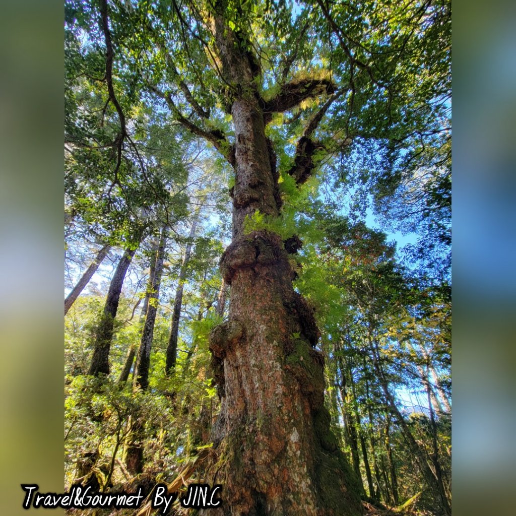 【羅馬沒有假期之重裝縱走】羅馬羅縱走_2039286