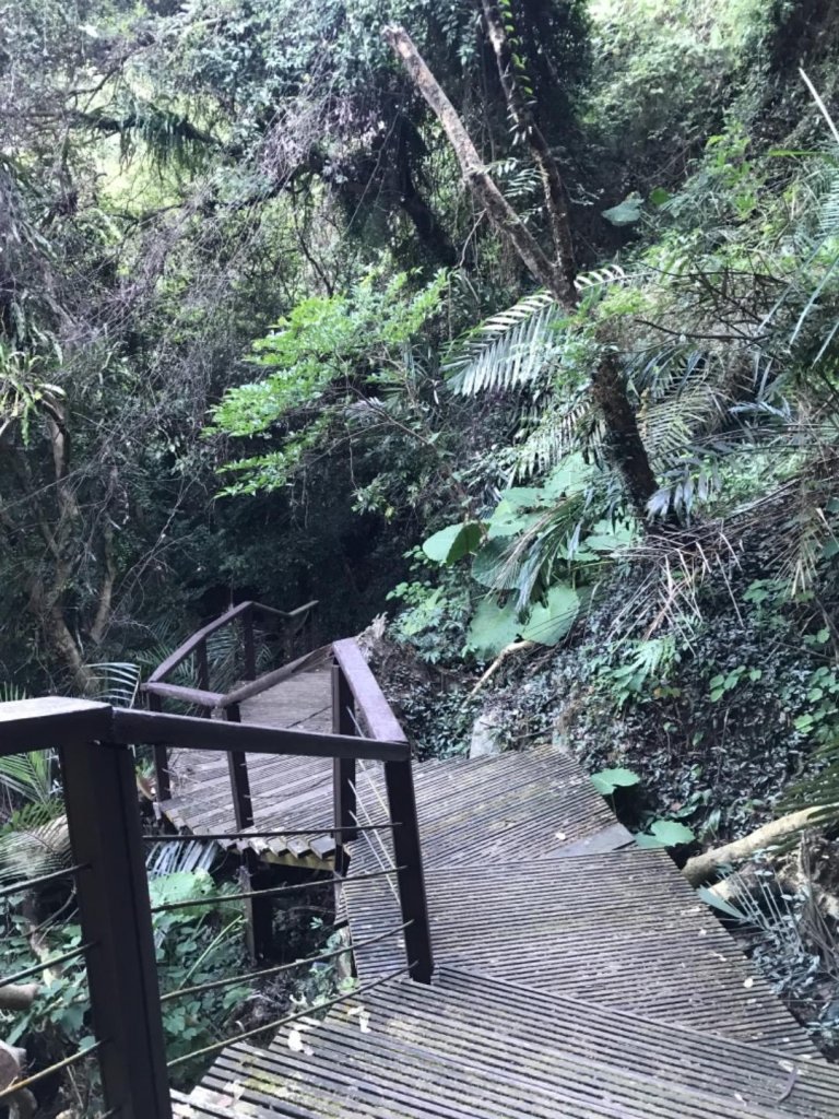 樟腦寮車站上獨立山奉天岩泡茶煮泡麵大巃頂看群峰美景_469734