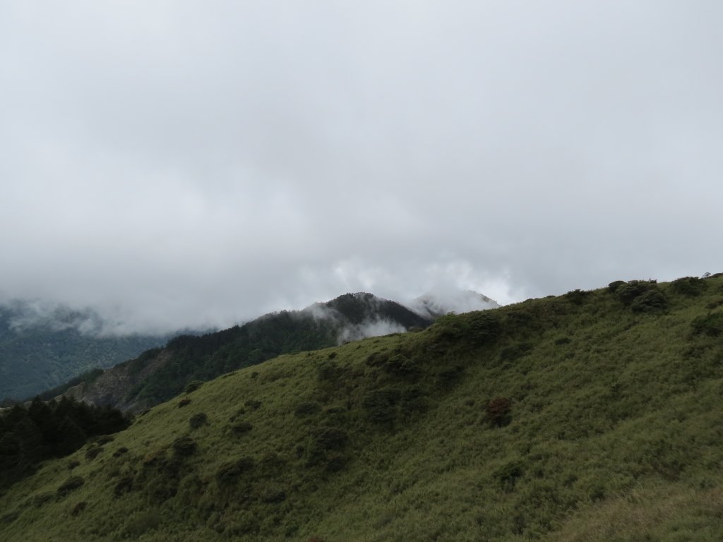 合歡山東峰-尖山-小奇萊-石門山_2513040