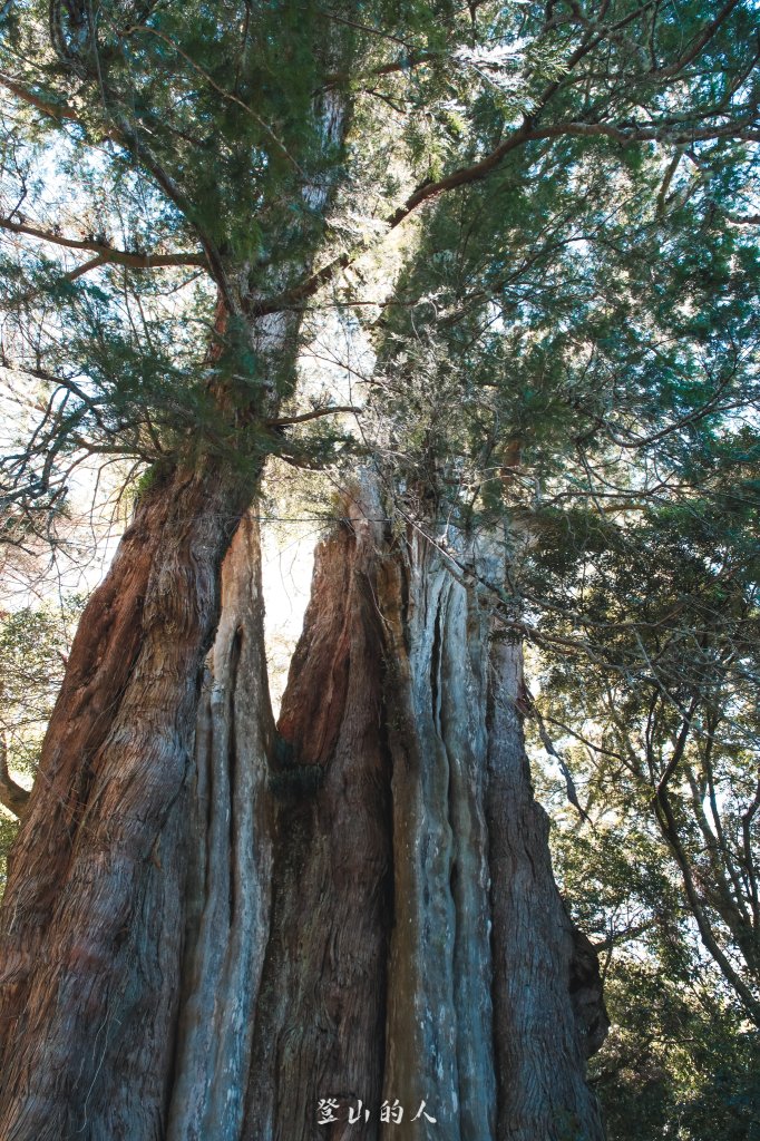 霞山鐵道野營_2843063
