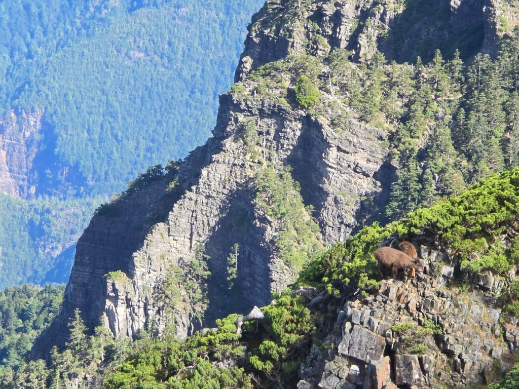 20240825 小O聖單攻_2614189