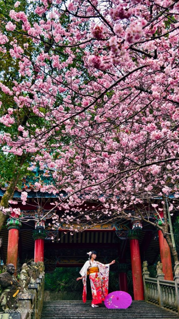 內湖碧山巖 2/18_2714804