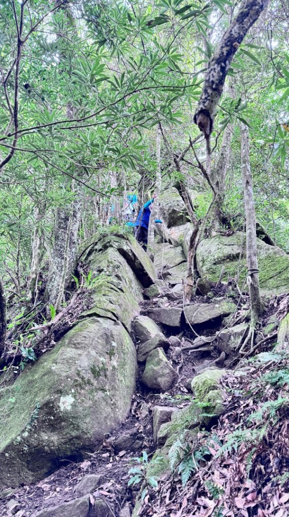 光天高山 - 向天湖山(小百岳32) 小O一圈_2876934