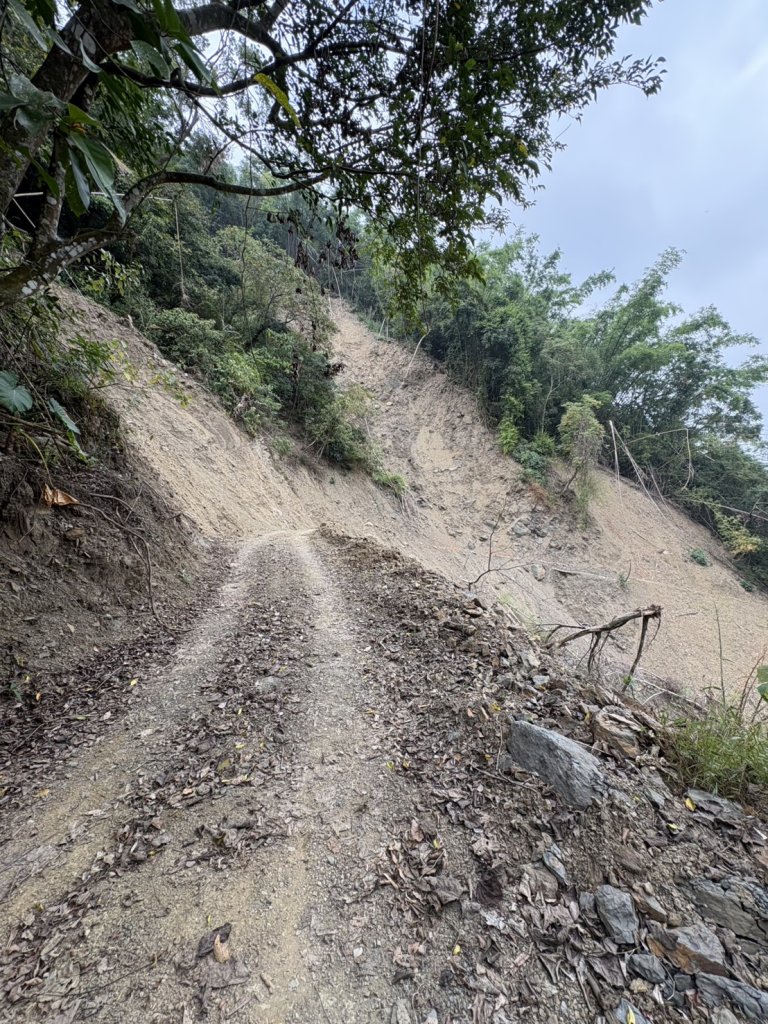 20251108白雲山步道_2935222