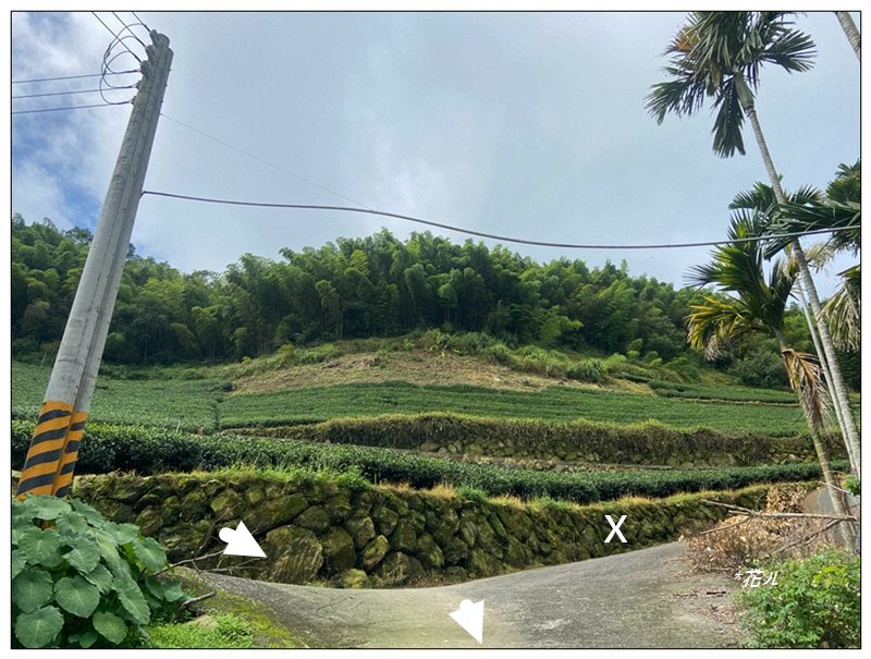 後棟仔山 O型路線_2833440
