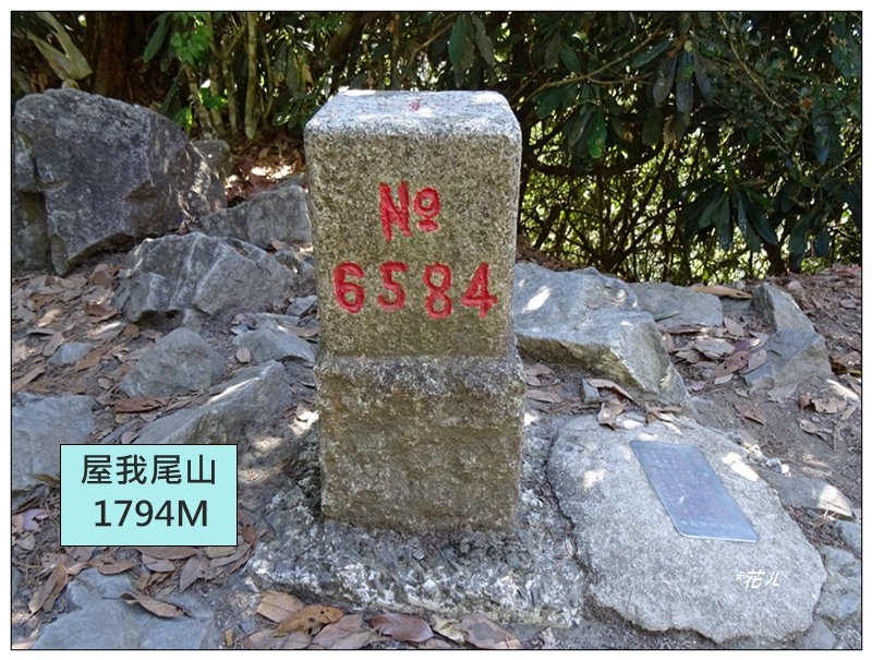 屋我尾山 北登山口 (大雪山林道31.3K)封面圖