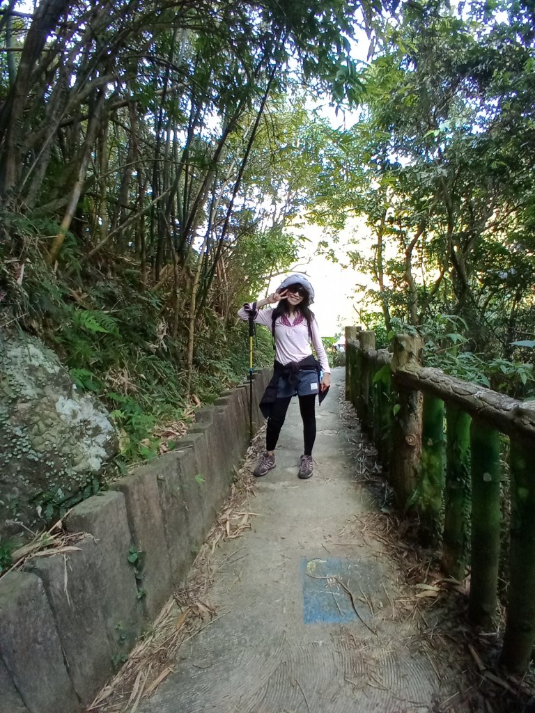 0207第七段:政大公車站至飛龍步道_1278706