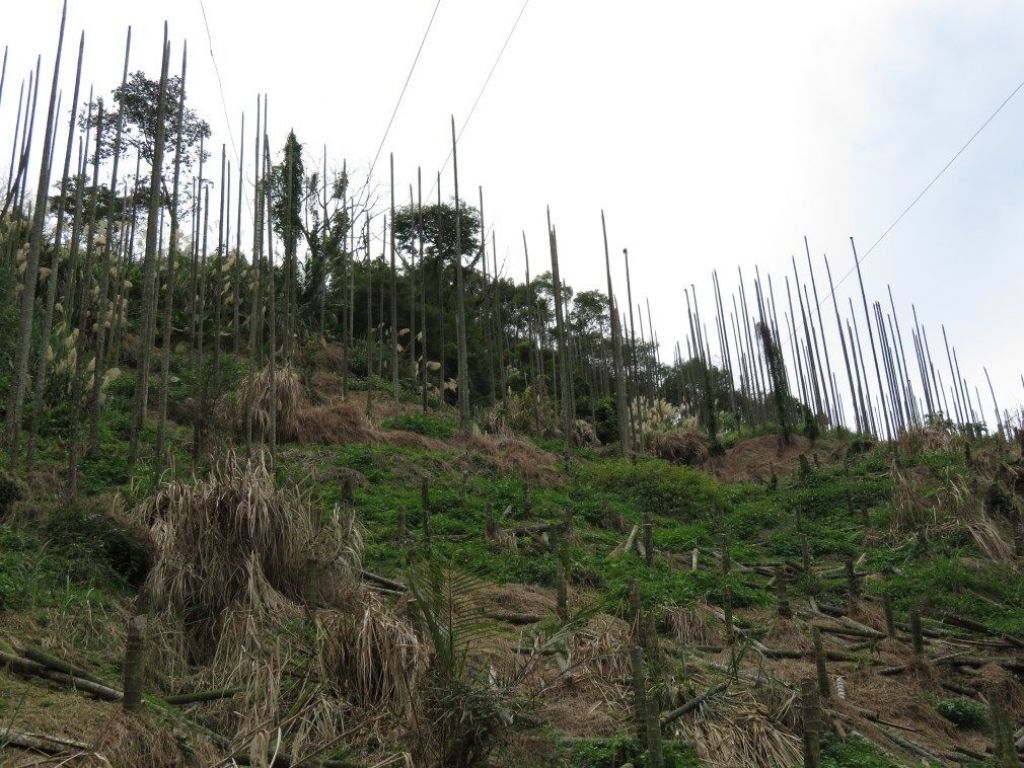 暗影山(酒桶山)_102372