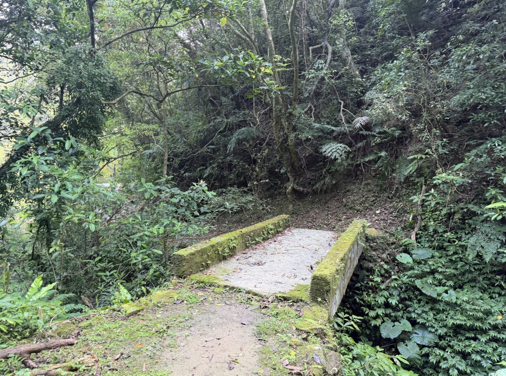 [微笑山線_第八段] 2026_0411 二格山系_西帽子岩_3034949