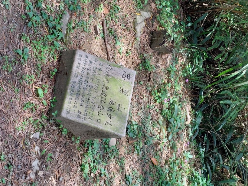 20230416＞臺北大縱走-5_2115433