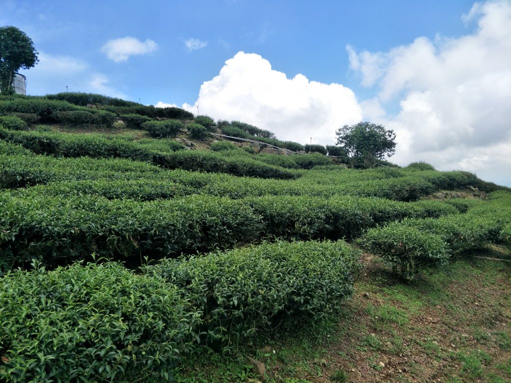 後棟仔山步道20210505_1414664