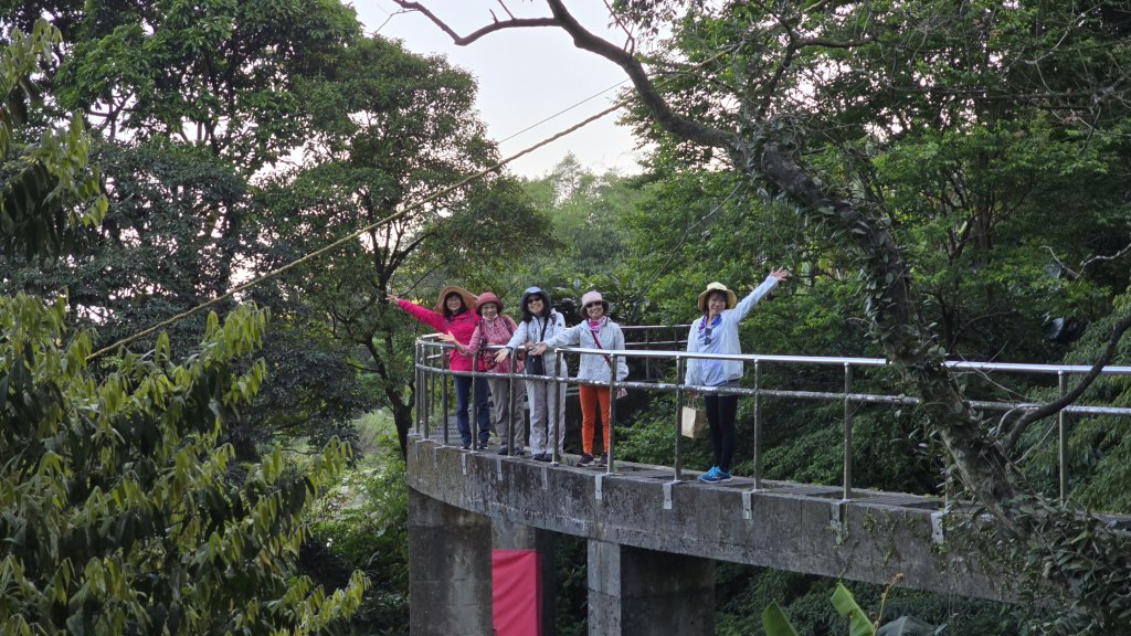 免出國免門票，連綿壯闊的梯田風情，全臺唯一梯田鳶尾花海，嵩山百年梯田封面圖