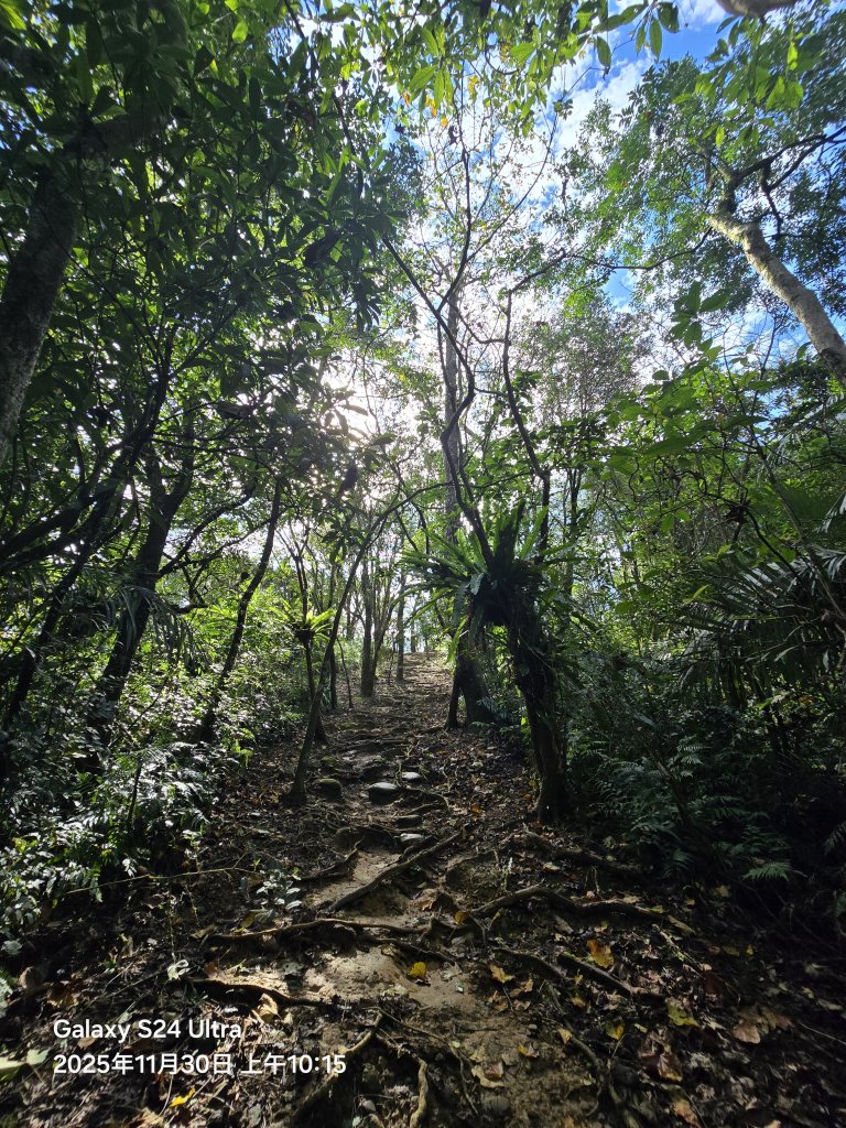 2025-11-30微笑山線：【五分山系】望古瀑布段_2950273