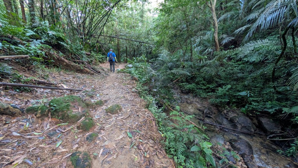 114.11.15平溪小黃山段-望古瀑布段之旅_2937832