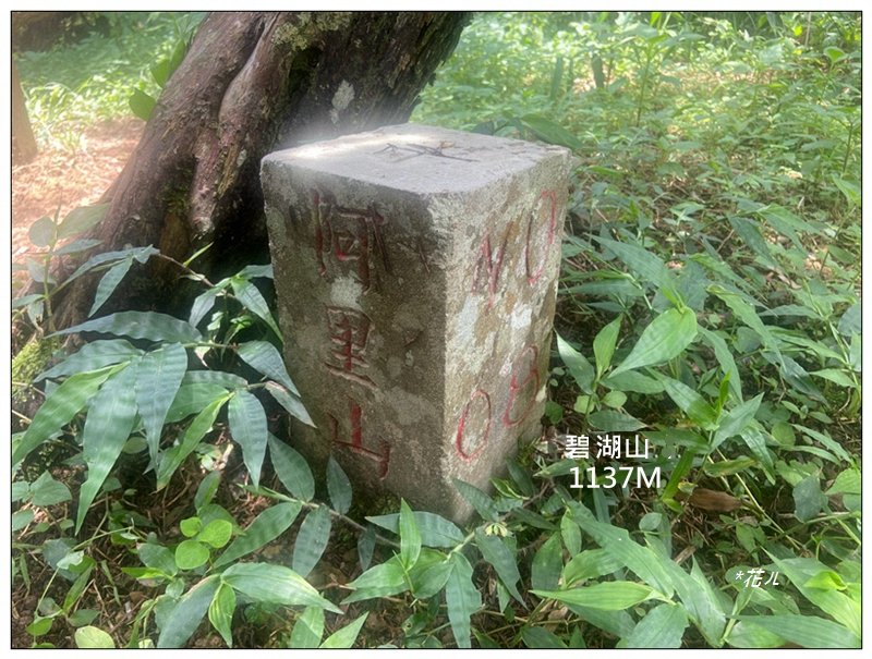 碧湖山 (碧鳳山) (嘉義、梅山)封面圖