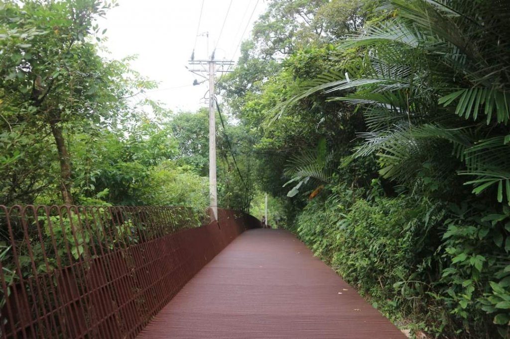 〔雙溪〕三貂嶺生態友善隧道 蝙蝠＆鐘乳石 。尪子崙坑 礦務課NO.278基石_2247570