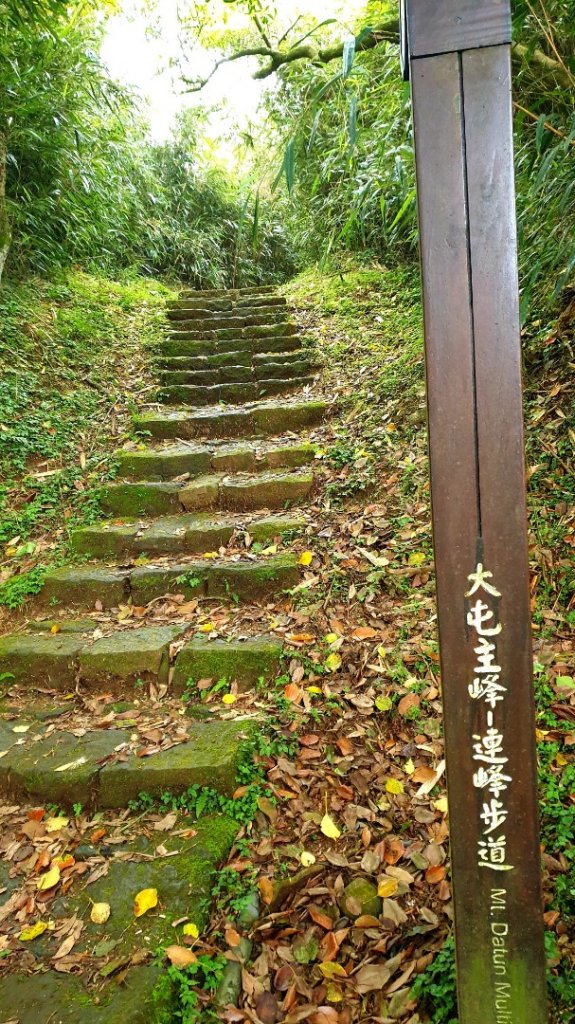 大屯山連峰步道（大屯主，南，西峰連走）封面圖