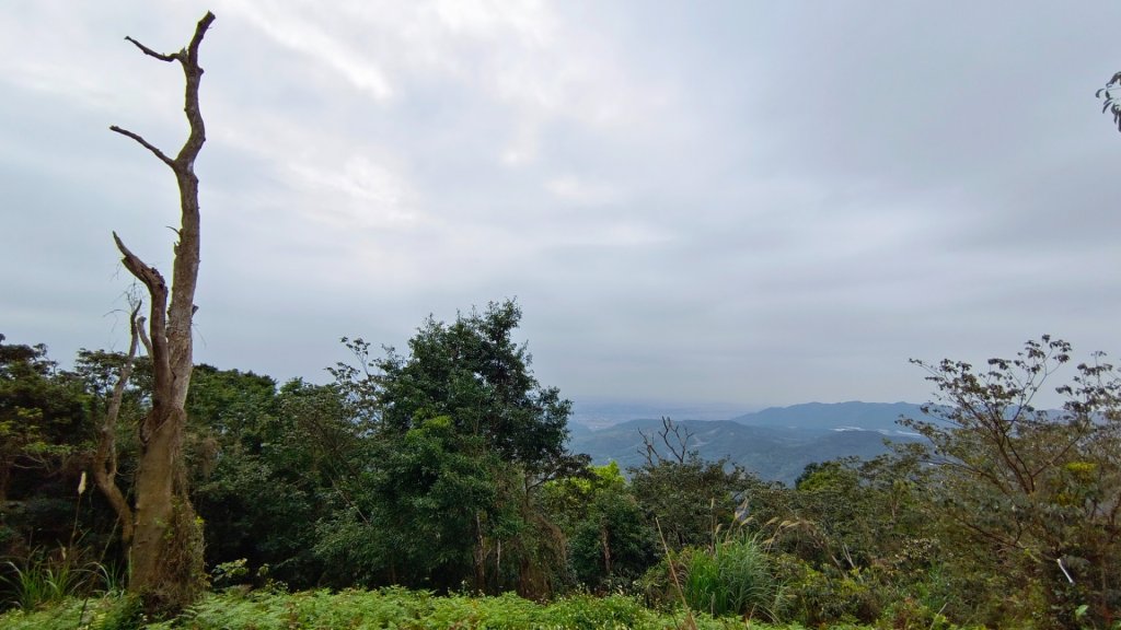 苗栗關刀山/關刀山西北峰（全線打通）_2039988