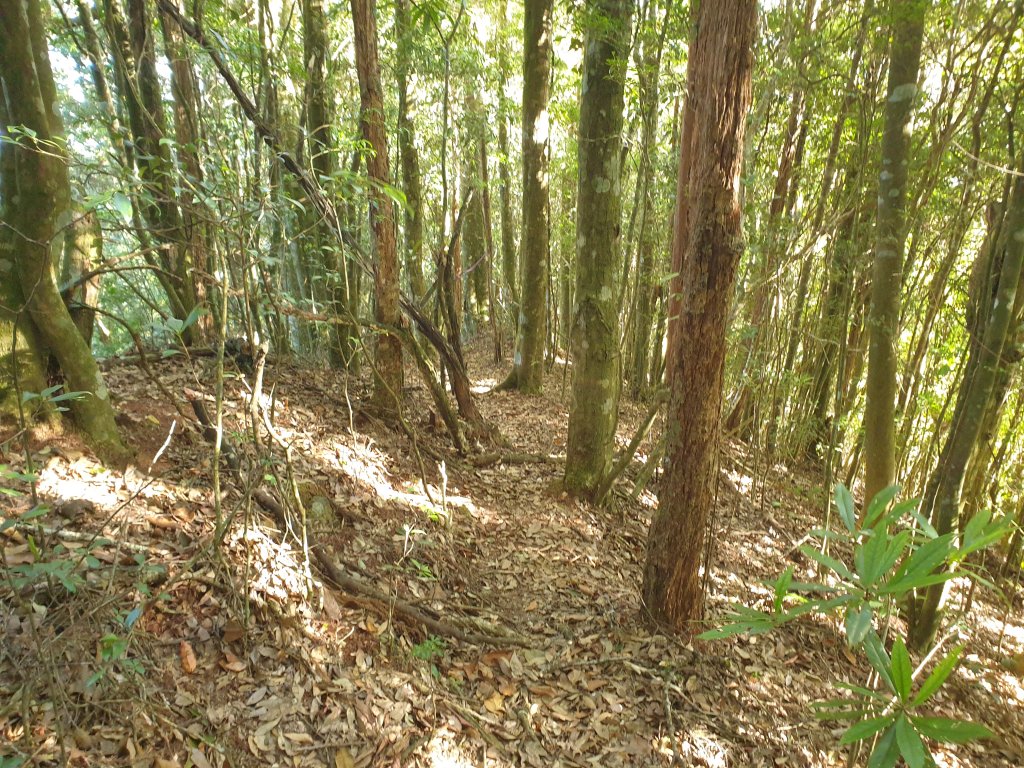 20230122鹿湖山(山羊山)、哈勘尼山_2024216