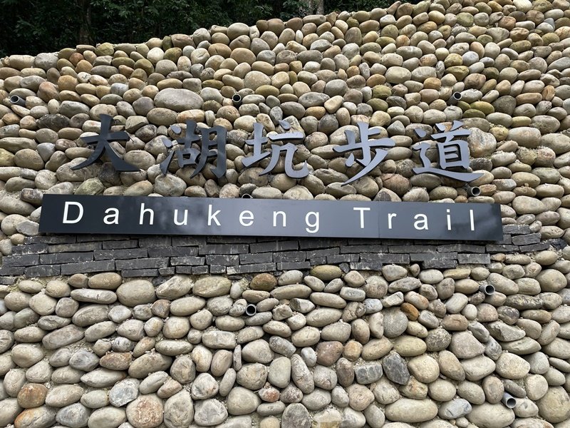 大湖之森封面圖