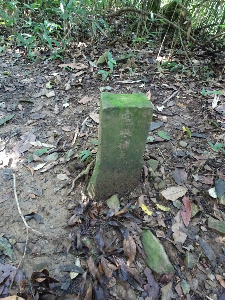 台灣小百岳第73座-屏東高樹-尾寮山_1105683