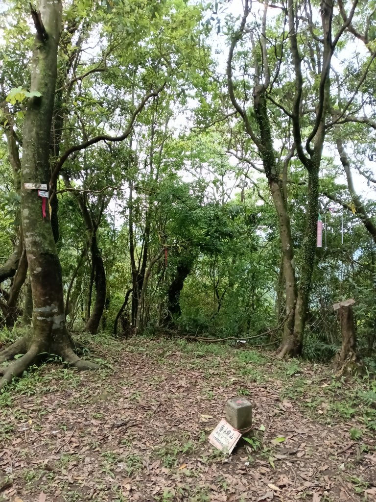 平溪區三功大厝+番子坑山+千階嶺步道O型_2781142
