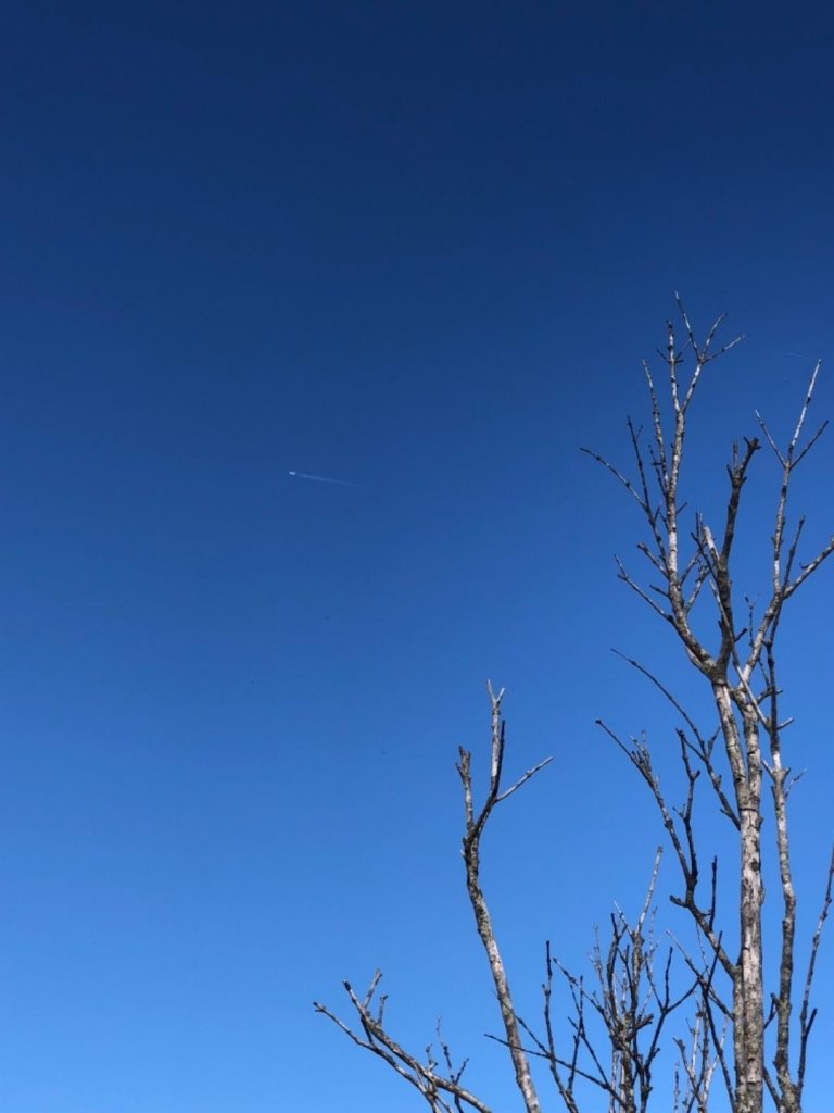 俯瞰石門水庫絕佳視角的外鳥嘴山_513779