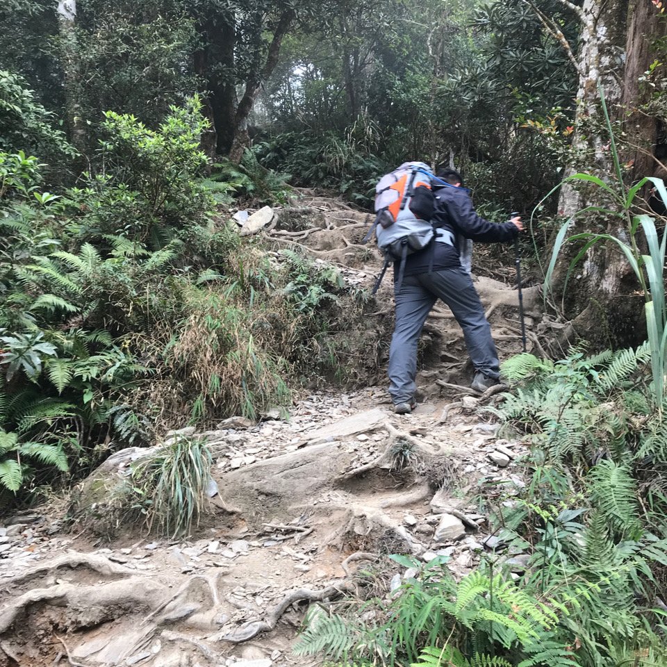 北大武山二天一夜看日出雲海2021314_1315034